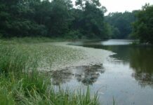 A Brothel Turned Bathhouse