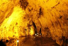 The Seven Churches of Asia Minor