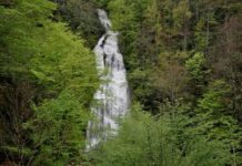 The Movement for Union in Eastern Rumelia