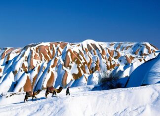 The Tree of Life Symbol of Jesus