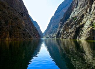 The Death of the King’s Son