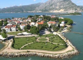 Cambyses Plans New Campaigns