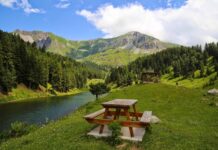 Croesus Refuses to Send His Son