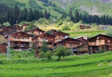 Atys Challenges His Father’s Fear