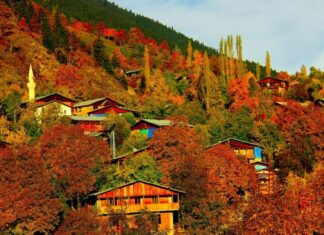 The Fall of Pisistratus