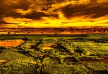 The Spartans Prepare to Attack Samos